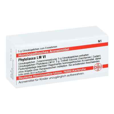 Lm Phytolacca Vi Globuli bei apo-discounter.de bestellen