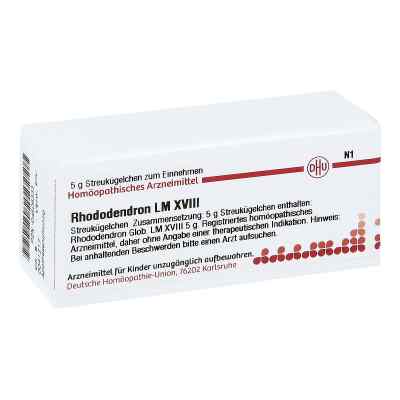 Lm Rhododendron Xviii Globuli bei apo-discounter.de bestellen