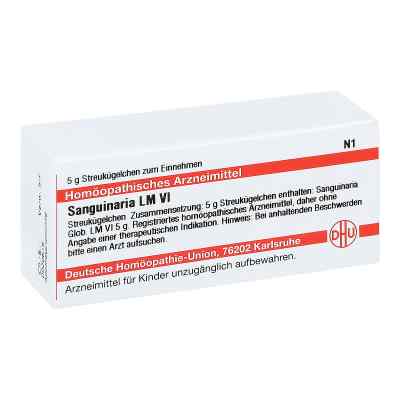 Lm Sanguinaria Vi Globuli bei apo-discounter.de bestellen