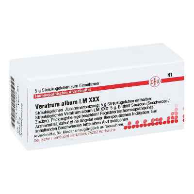 Lm Veratrum Album Xxx Globuli bei apo-discounter.de bestellen