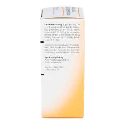 Cactus Compositum S Liquidum bei apo-discounter.de bestellen