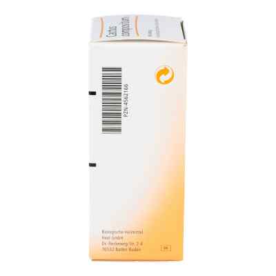 Cactus Compositum S Liquidum bei apo-discounter.de bestellen