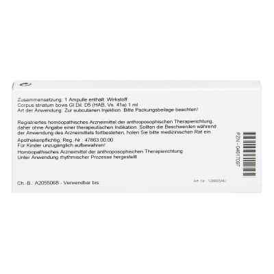 Corpus Striatum Gl D5 Ampullen bei apo-discounter.de bestellen