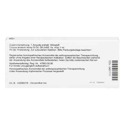 Corpus Striatum Gl D8 Ampullen bei apo-discounter.de bestellen