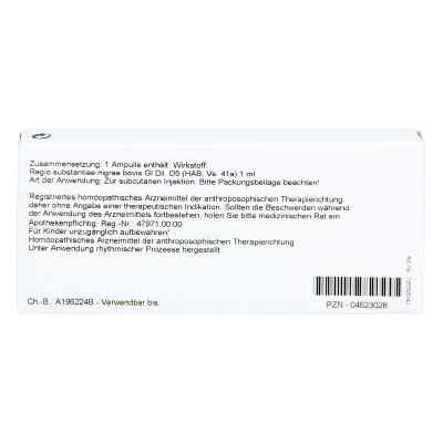 Regio Substanz Nigrae Gl D5 Ampullen bei apo-discounter.de bestellen