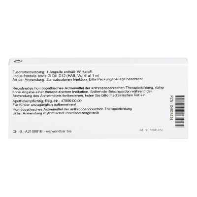 Lobus Frontalis Gl D12 Ampullen bei apo-discounter.de bestellen