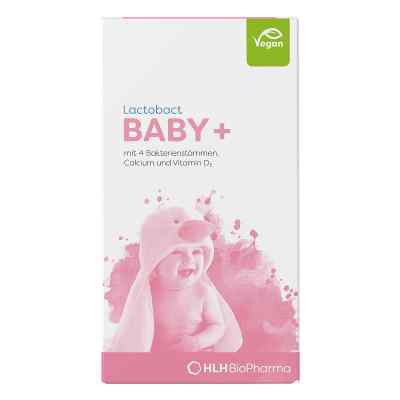 Lactobact Baby Pulver bei apo-discounter.de bestellen