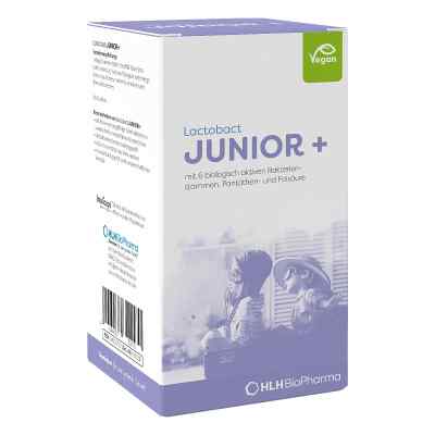 Lactobact Junior Pulver bei apo-discounter.de bestellen