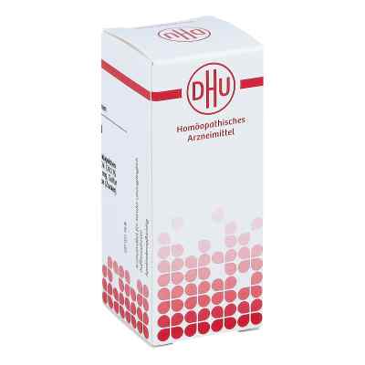 Gunpowder compositus D10 Globuli bei apo-discounter.de bestellen