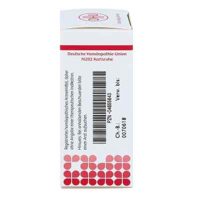 Gunpowder compositus D10 Globuli bei apo-discounter.de bestellen