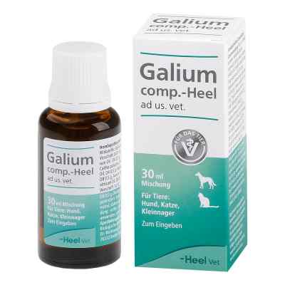 Galium Comp.-heel Tropfen für Hunde /Katzen/Kleinnag. bei apo-discounter.de bestellen
