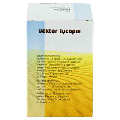 Vektor Lycopin Kapseln bei apo-discounter.de bestellen