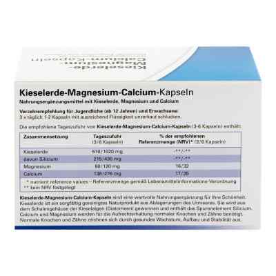 Kieselerde Magnesium Calcium Kapseln bei apo-discounter.de bestellen