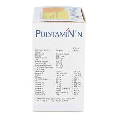Polytamin N Kapseln bei apo-discounter.de bestellen