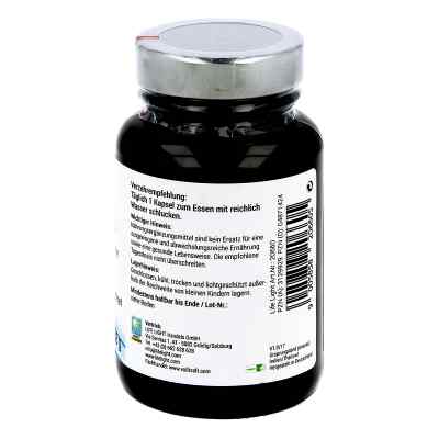 Bromelain 500 mg Kapseln bei apo-discounter.de bestellen