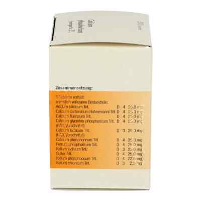 Synergon 21 Calcium phos. Tabletten bei apo-discounter.de bestellen