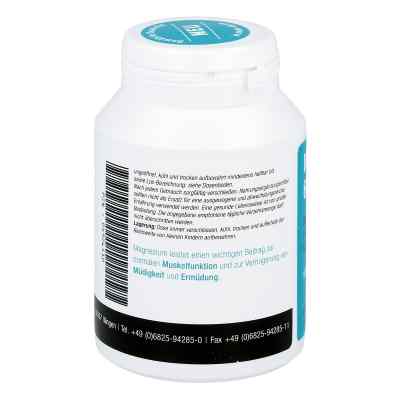 Magnesium 600 Kapseln bei apo-discounter.de bestellen