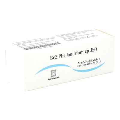 Jso Jkh Brustmittel Br 2 Phellandrium cp Globuli bei apo-discounter.de bestellen