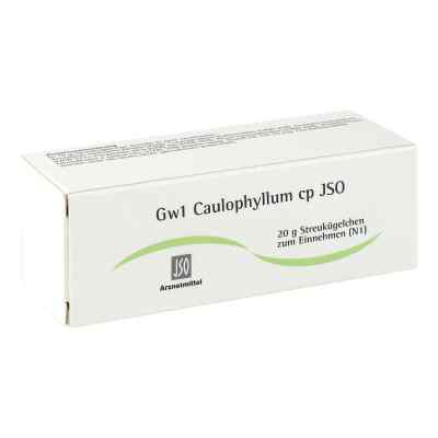 Jso Jkh Gewebemittel Gw 1 Caulophyllum cp Globuli bei apo-discounter.de bestellen