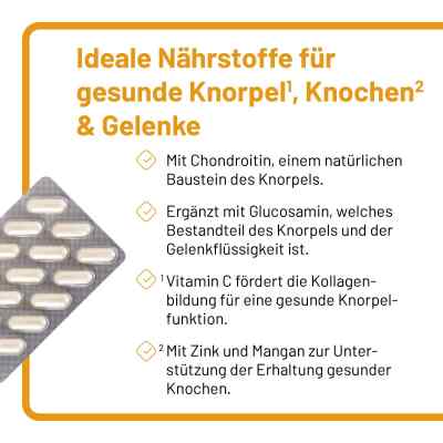 Vitazell Arthro Kapseln bei apo-discounter.de bestellen