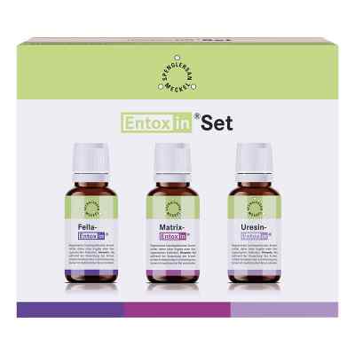 Entoxin Set Tropfen bei apo-discounter.de bestellen