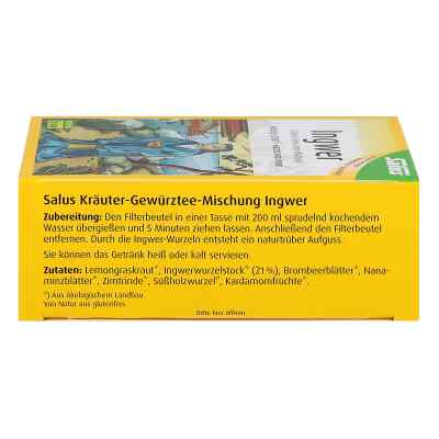 Ingwer Kräuter Gewürztee Salus bei apo-discounter.de bestellen