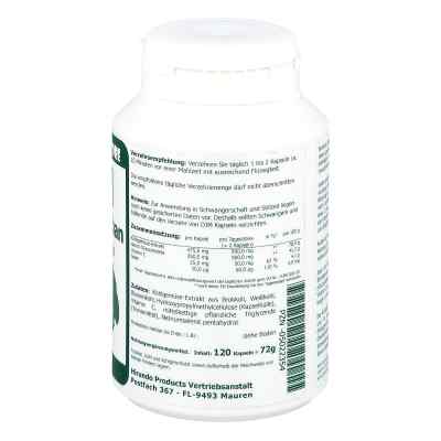 Dim Diindolylmethan 250 mg vegetarische Kapseln bei apo-discounter.de bestellen