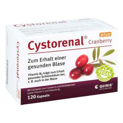 Cystorenal Cranberry plus Kapseln bei apo-discounter.de bestellen