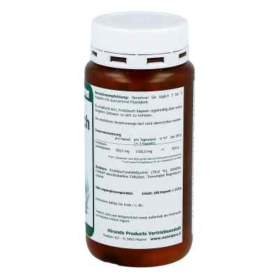 Knoblauch 500 mg geruchsarm Kapseln bei apo-discounter.de bestellen