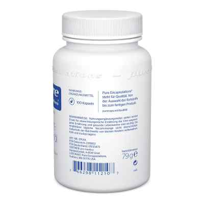 Pure Encapsulations Nachtkerzenöl Kapseln bei apo-discounter.de bestellen