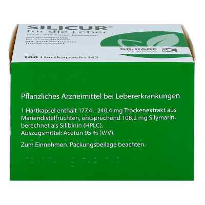 Silicur für die Leber bei apo-discounter.de bestellen