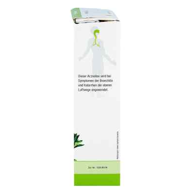 THYMIAN BOMBASTUS bei apo-discounter.de bestellen