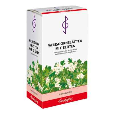 WEISSDORNBLÄTTER MIT BLÜTEN BOMBASTUS bei apo-discounter.de bestellen