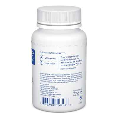 Pure Encapsulations Vitamin D3 1000 I.e. Kapseln bei apo-discounter.de bestellen
