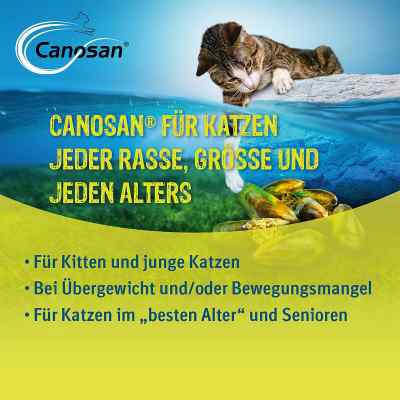 Canosan Katze Kautabletten bei apo-discounter.de bestellen