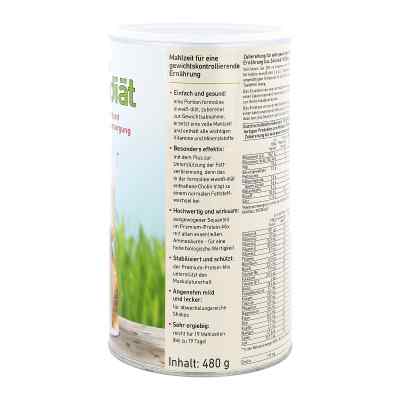 Formoline eiweiss-diät Pulver bei apo-discounter.de bestellen