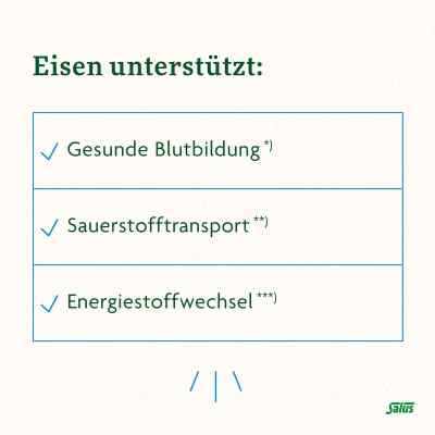 Floradix Eisen plus B12 vegan Kapseln bei apo-discounter.de bestellen