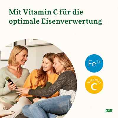 Floradix Eisen plus B12 vegan Kapseln bei apo-discounter.de bestellen