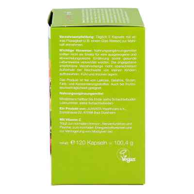 Plantazym Kapseln bei apo-discounter.de bestellen