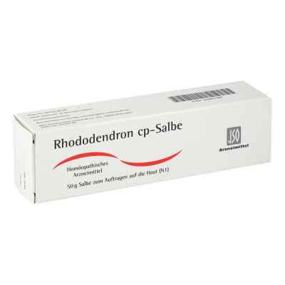 Rhododendron Cp. Salbe bei apo-discounter.de bestellen