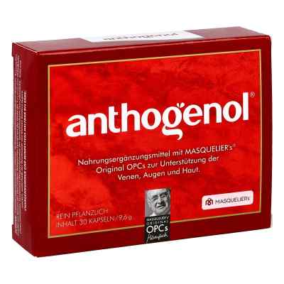 Anthogenol Masquelier Opc Kapseln bei apo-discounter.de bestellen
