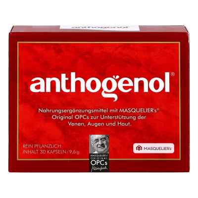 Anthogenol Masquelier Opc Kapseln bei apo-discounter.de bestellen