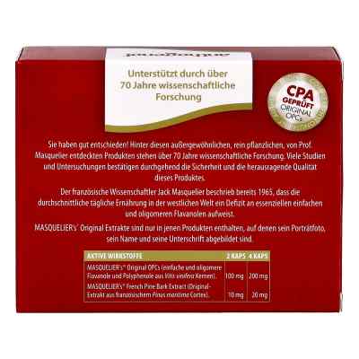 Anthogenol Masquelier Opc Kapseln bei apo-discounter.de bestellen