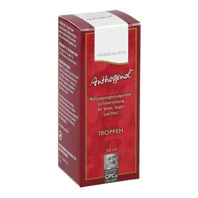 Anthogenol Masquelier Opc Tropfen bei apo-discounter.de bestellen