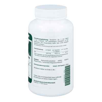 Msm 500 mg Methylsulfonylmethan Kapseln bei apo-discounter.de bestellen