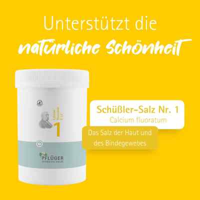 Biochemie Pflüger 1 Calcium fluor.D 12 Tabletten bei apo-discounter.de bestellen
