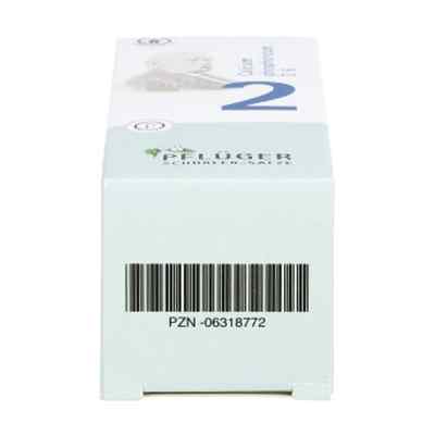 Biochemie Pflüger 2 Calcium phosphoricum D6 Tabletten bei apo-discounter.de bestellen