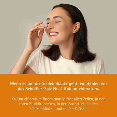 Biochemie Pflüger 4 Kalium chloratum D6 Tabletten bei apo-discounter.de bestellen