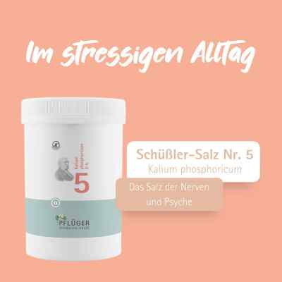Biochemie Pflüger 5 Kalium phosphoricum D6 Tabletten bei apo-discounter.de bestellen