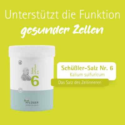 Biochemie Pflüger 6 Kalium Sulfur D6 Tabletten bei apo-discounter.de bestellen